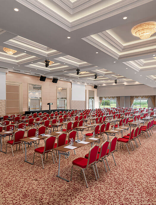 Ng Afyon Manolya Card M