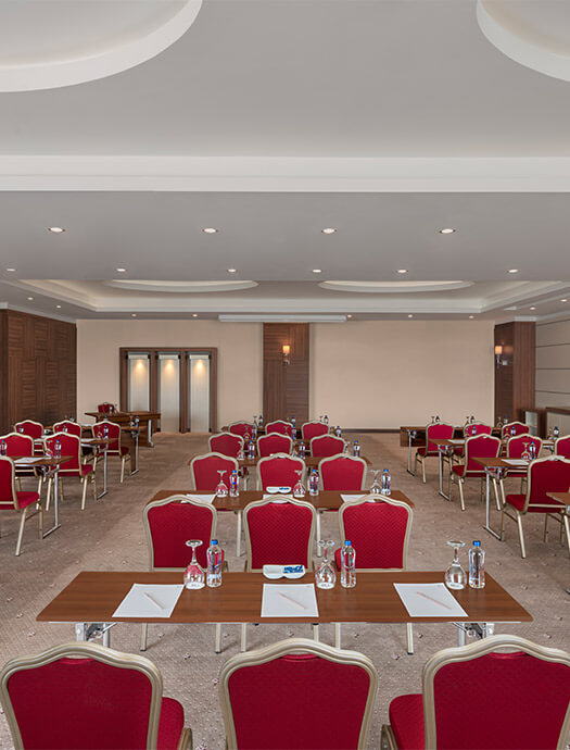 Ng Afyon Lavanta Card M4