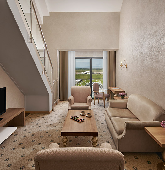 Ng Afyon Queen Suit Card M3