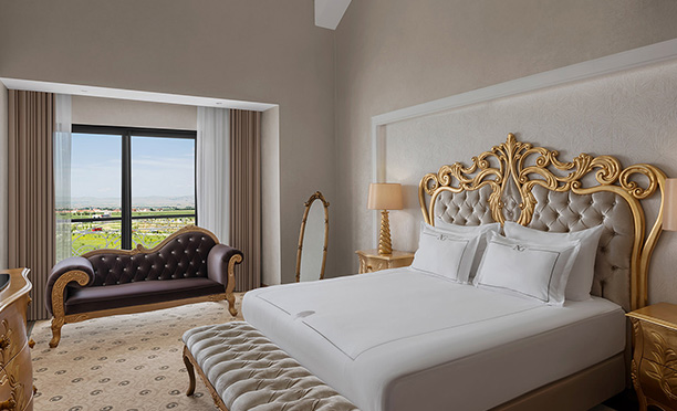 Dubleks Queen Suit Other Room Card