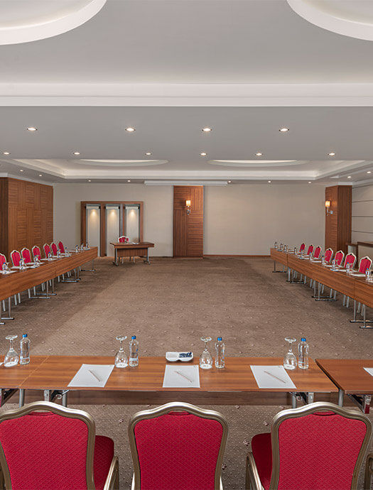 Ng Afyon Lavanta Card M2