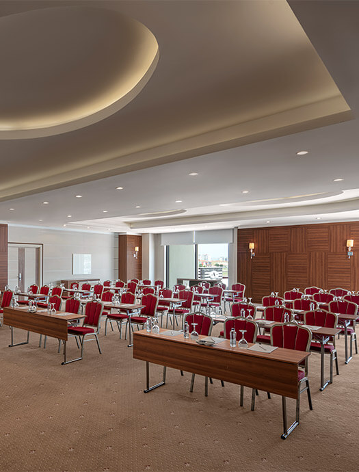 Ng Afyon Lavanta Card M